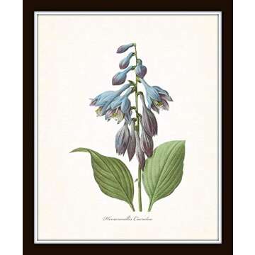 Redoute Blue Botanical Print Set for Vintage Wall Decor