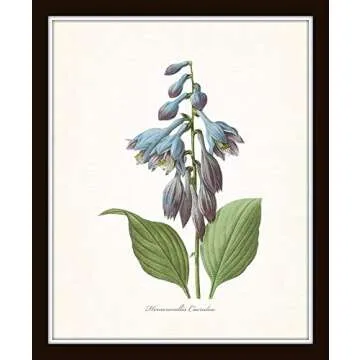 Redoute Blue Botanical Print Set for Vintage Wall Decor