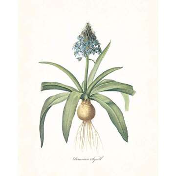 Redoute Blue Botanical Print Set for Vintage Wall Decor