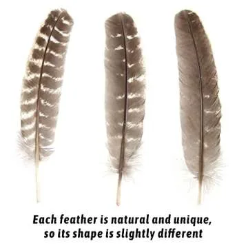 CCINEE Natural Turkey Feathers for Crafting & Decoration