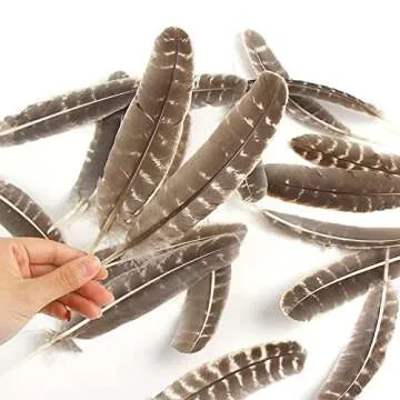 CCINEE Natural Turkey Feathers for Crafting & Decoration