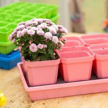 Bootstrap Farmer 1020 Trays, Pink Extra Strength No Hole, 10 Pack, Seedling Tray for Growing Microgreens, Wheatgrass Seeds, Hydroponic Germination, Fodder System