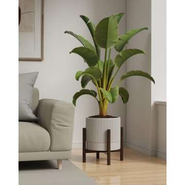 Carrward Ceramic Planter Pots Indoor with Drainage Hole & Saucer,Including Stand,7.3 Inch Mid-Century Modern Cylinder Plant Pot for Snake Flower Leaf