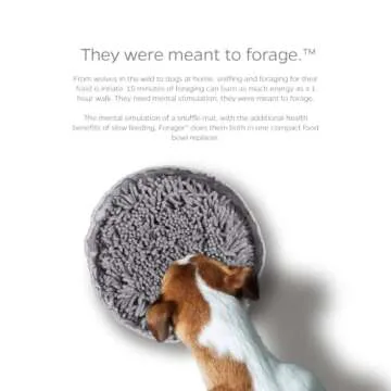 Pet Parents Forager Bowls - Slow Feeder for Dogs