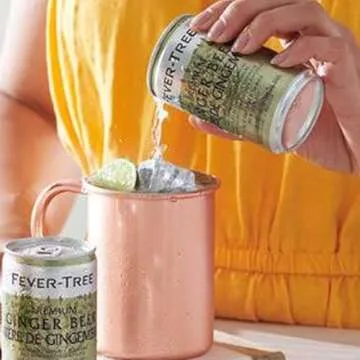 Fever Tree Premium Ginger Beer - Refreshing Mixer for Cocktails