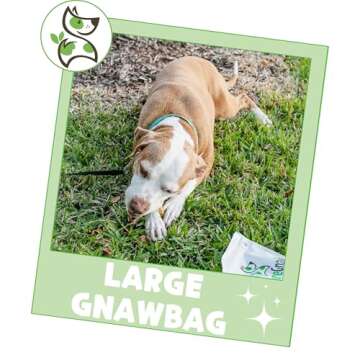 Nature Gnaws Variety Pack for Large Dogs (12 Count) - Bully Sticks, Beef Tendons and Tripe Twists for Dogs - Natural Long Lasting Beef Dog Chew Bones - Rawhide Free