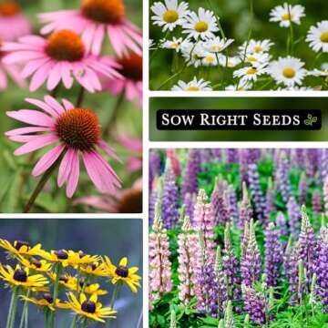 Sow Right Seeds - Perennial 5 Flower Garden Seed Collection for Planting - Russell Lupine, Black-Eyed Susan, Shasta Daisy, Purple Coneflower & Blue Columbine - Non-GMO Heirloom Packets Home Gardening
