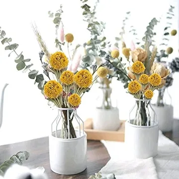 XHXSTORE Dried Flowers for Events Home Decor 40 Pcs