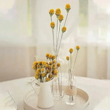 XHXSTORE Dried Flowers for Events Home Decor 40 Pcs