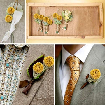 XHXSTORE Dried Flowers for Events Home Decor 40 Pcs