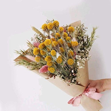 XHXSTORE Dried Flowers for Events Home Decor 40 Pcs
