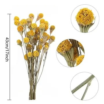 XHXSTORE Dried Flowers for Events Home Decor 40 Pcs