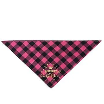 Complete Dog Birthday Party Set with Cute Accessories