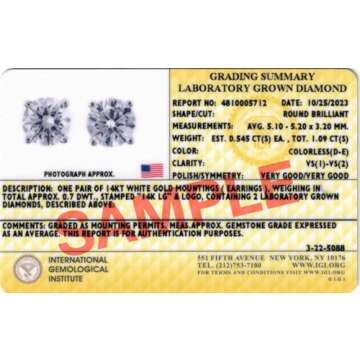 IGI Certified 1 Carat D-E Color and VS1-VS2 Clarity Lab Grown Diamond Stud Earrings for Women I 14k White Gold Earrings for Her I Secure Screw Back Made in USA by Beverly Hills Jewelers