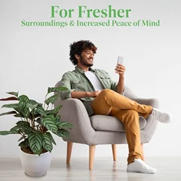 Calathea Ctenanthe Exotica Live Plant for Home Decor