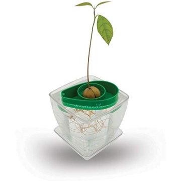 AvoSeedo Avocado Tree Growing Kit with Pot - Practical Gifts for Women, Mom, Sister, Best Friend & Kids | Plant Indoors with Novelty Pit Grower Boat | Gardening Gifts for Women