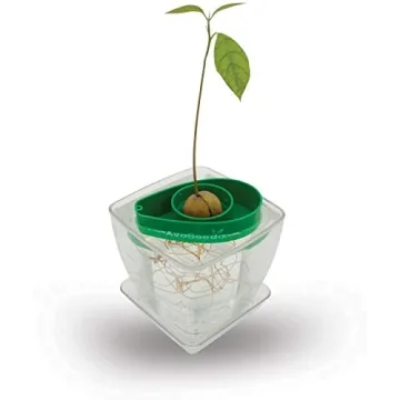 AvoSeedo Avocado Tree Growing Kit with Pot - Practical Gifts for Women, Mom, Sister, Best Friend & Kids | Plant Indoors with Novelty Pit Grower Boat | Gardening Gifts for Women