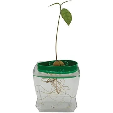 AvoSeedo Avocado Tree Growing Kit with Pot - Practical Gifts for Women, Mom, Sister, Best Friend & Kids | Plant Indoors with Novelty Pit Grower Boat | Gardening Gifts for Women