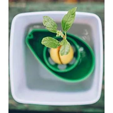 AvoSeedo Avocado Tree Growing Kit with Pot - Practical Gifts for Women, Mom, Sister, Best Friend & Kids | Plant Indoors with Novelty Pit Grower Boat | Gardening Gifts for Women