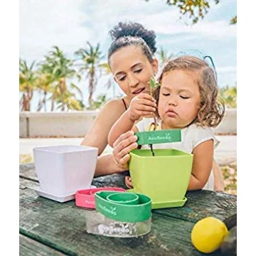 AvoSeedo Avocado Tree Growing Kit with Pot - Practical Gifts for Women, Mom, Sister, Best Friend & Kids | Plant Indoors with Novelty Pit Grower Boat | Gardening Gifts for Women