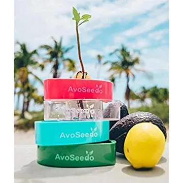 AvoSeedo Avocado Tree Growing Kit with Pot - Practical Gifts for Women, Mom, Sister, Best Friend & Kids | Plant Indoors with Novelty Pit Grower Boat | Gardening Gifts for Women