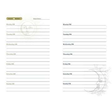 The Sun & Moon Journal: A Three-Year Chronicle for Morning Thoughts & Evening Reflections (Volume 8) (Gilded, Guided Journals)