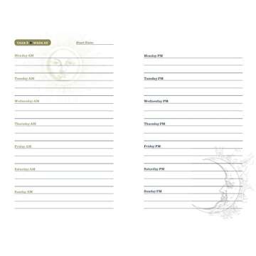 The Sun & Moon Journal: A Three-Year Chronicle for Morning Thoughts & Evening Reflections (Volume 8) (Gilded, Guided Journals)