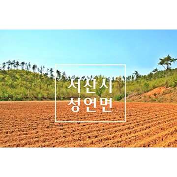 Non-Pesticide Dried Jerusalem Artichoke, 무농약 말린 돼지감자 300g (10.6oz), No Agricultural Chemicals, from South Korea 100%