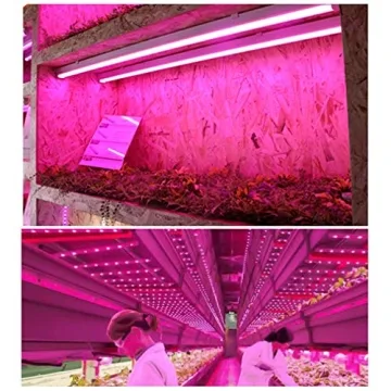 Monios-L LED Grow Lights for Indoor Plants - 6 Pack