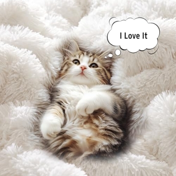 Intelligent Design Malea Shaggy Comforter Set, Long Faux Fur Cozy Down Alternative, Modern Casual Ultra Soft All Season Fluffy Bedding with Matching Sham, King/Cal King, Ivory 3 Piece