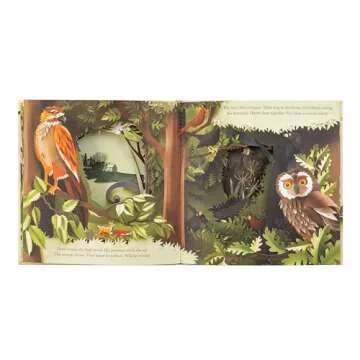 A Walk Through the Woods Illustrated Book for All Ages