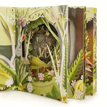 A Walk Through the Woods Illustrated Book for All Ages