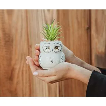 Harry Potter Hedwig 3-Inch Ceramic Mini Planter with Artificial Succulent | Small Flower Pot, Faux Indoor Plants For Desk Shelf, Home Decor Trinket Tray | Wizarding World Gifts and Collectibles