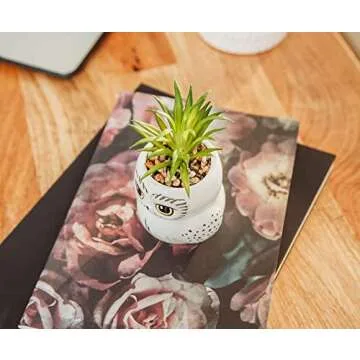 Harry Potter Hedwig 3-Inch Ceramic Mini Planter with Artificial Succulent | Small Flower Pot, Faux Indoor Plants For Desk Shelf, Home Decor Trinket Tray | Wizarding World Gifts and Collectibles