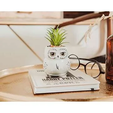 Harry Potter Hedwig 3-Inch Ceramic Mini Planter with Artificial Succulent | Small Flower Pot, Faux Indoor Plants For Desk Shelf, Home Decor Trinket Tray | Wizarding World Gifts and Collectibles