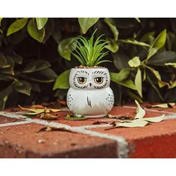 Harry Potter Hedwig 3-Inch Ceramic Mini Planter with Artificial Succulent | Small Flower Pot, Faux Indoor Plants For Desk Shelf, Home Decor Trinket Tray | Wizarding World Gifts and Collectibles