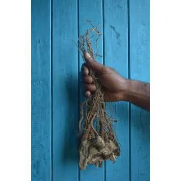 SEBotanicals Vanuatu Sangava Ceremonial Kava Tea Powder (8oz) 1 pouch - Vanuatu Kava - Kava Powder - Sangava Ceremonial Grade Kava