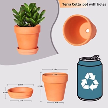 20 Pack 3 Inch Terracotta Plant Pots with Saucer