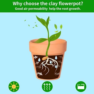 20 Pack 3 Inch Terracotta Plant Pots with Saucer