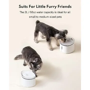 HomeRunPet Silent Cat Water Fountain for Healthy Pets