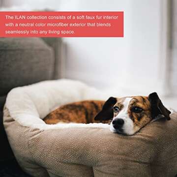 Best Friends by Sheri OrthoComfort Deep Dish Cuddler Ilan Microfiber Cat and Dog Bed, Wheat, Standard