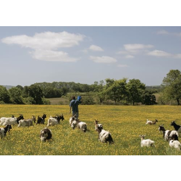 The Farm Table Cookbook | Seasonal Simple Recipes