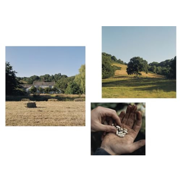 The Farm Table Cookbook | Seasonal Simple Recipes