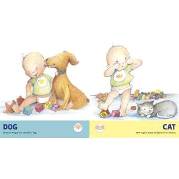 Baby Signs: A Baby-Sized Introduction to Speaking with Sign Language