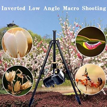 YoTilon Lightweight Tripod for Cameras – Travel Friendly