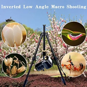 YoTilon Lightweight Tripod for Cameras – Travel Friendly