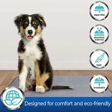 Eco-Friendly Washable Pet Pads for Training and Crates