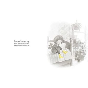 Lizzy and the Cloud Fan Brothers Illustrated Childrens Book