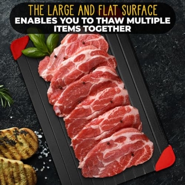 High Quality Meat Thawing Tray - Quick Food Defrosting