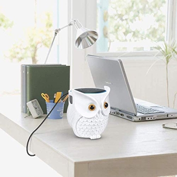 Charming Owl Echo Dot Holder for All Generations